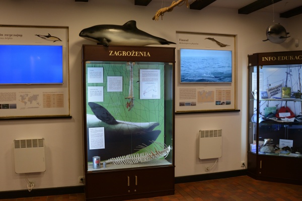 Dom morświna - mikro-muzeum dedykowane ginącemu na Bałtyku gatunkowi.